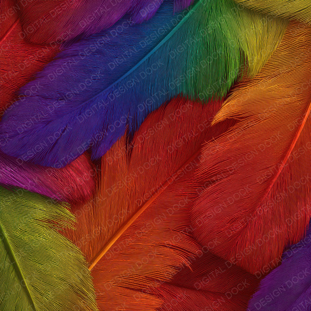 Rainbow Feather Texture Digital Paper Pack (DDD008380)