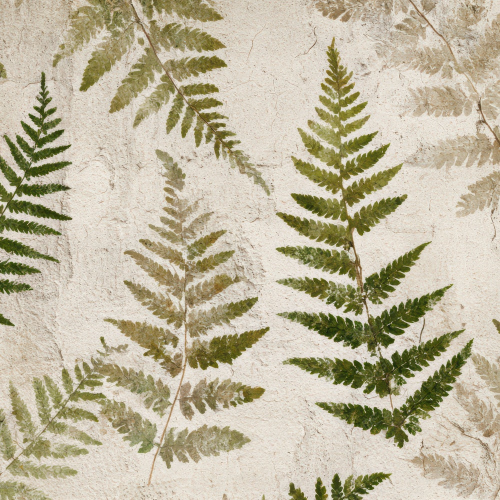 Vintage Fern Overlay Digital Paper Pack (DDD008675)