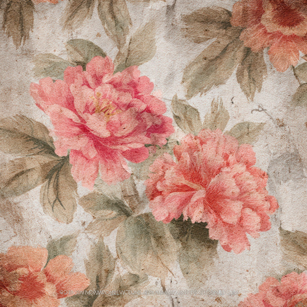 Vintage Peony Overlay Digital Paper Pack (DDD008679)