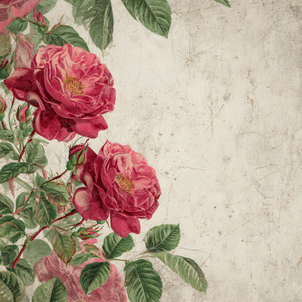 Vintage Rose Overlay Digital Paper Pack (DDD008682)
