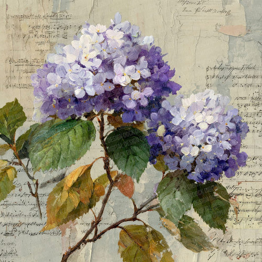 Violet Hydrangea Notes Digital Paper Pack (DDD007745)