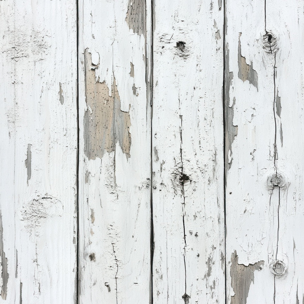 Whitewashed Barnwood Digital Paper Pack (DDD004412)