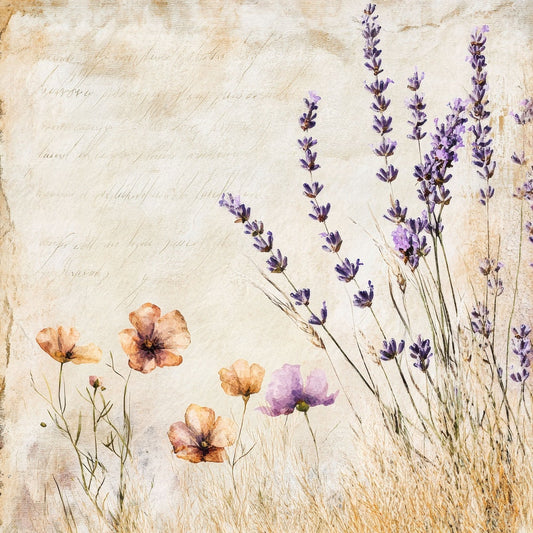 Wildflower Meadow Digital Paper Pack (DDD004419)