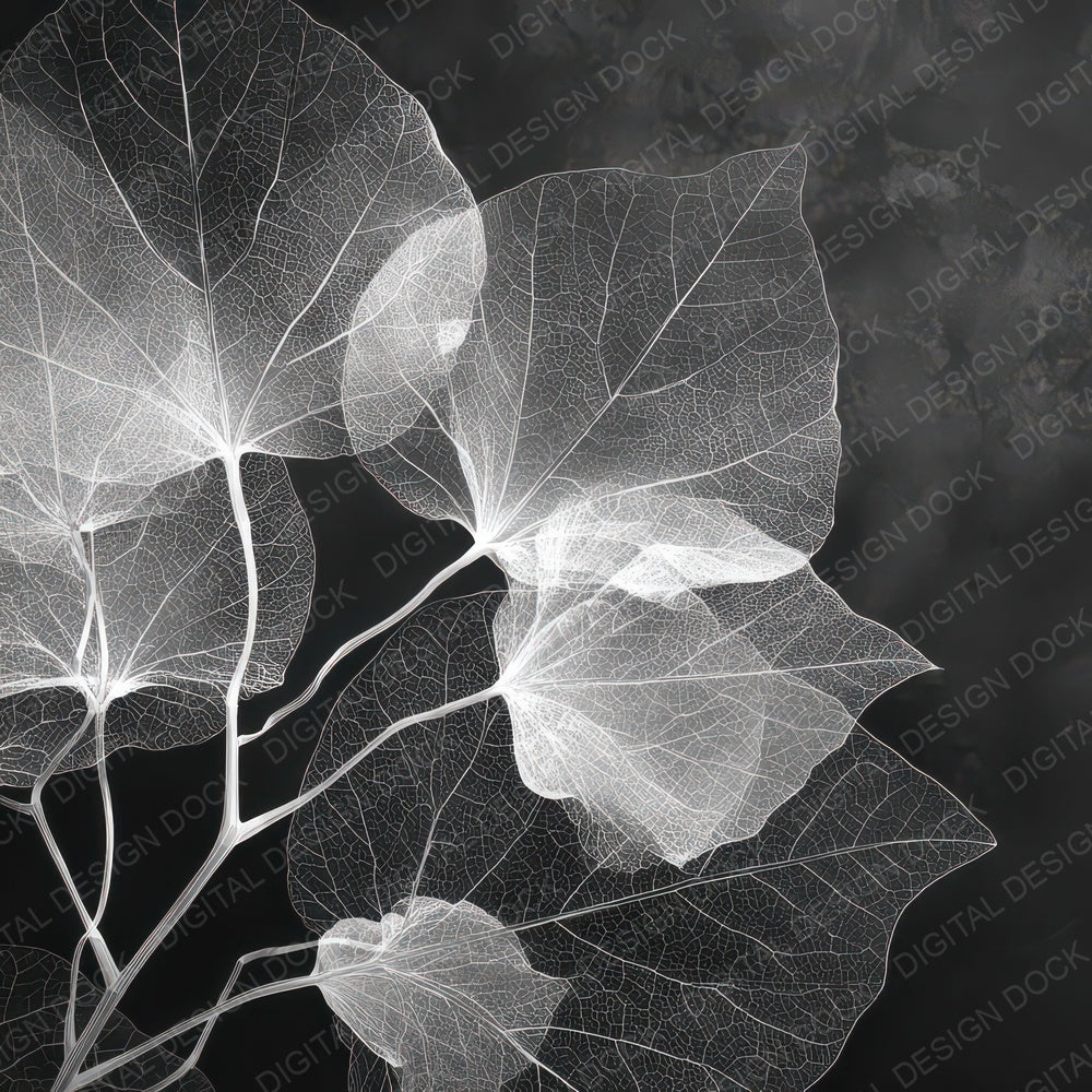 Xray Botanical Grunge Digital Paper Pack (DDD008787)