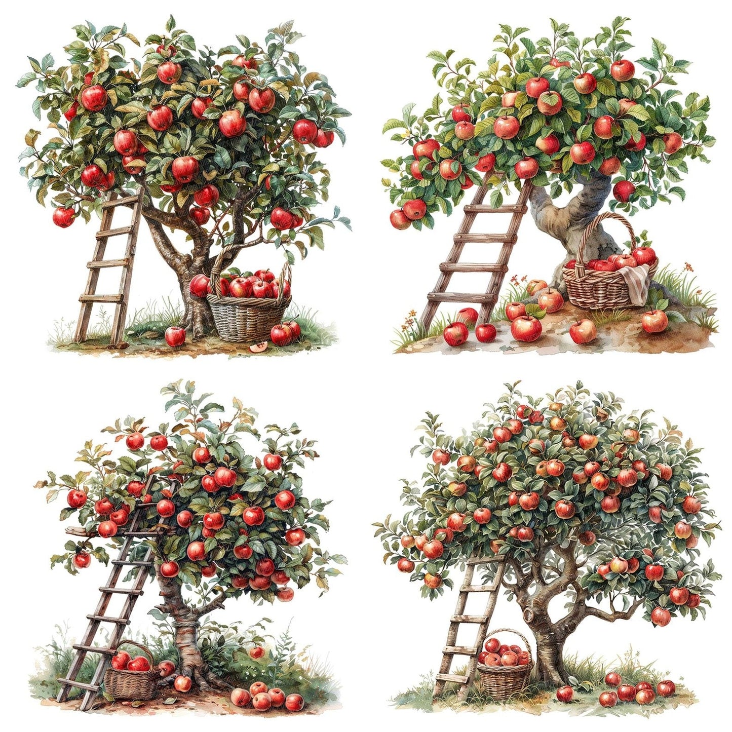 Apple Tree Harvest Picking Clipart Set (DDD004613)