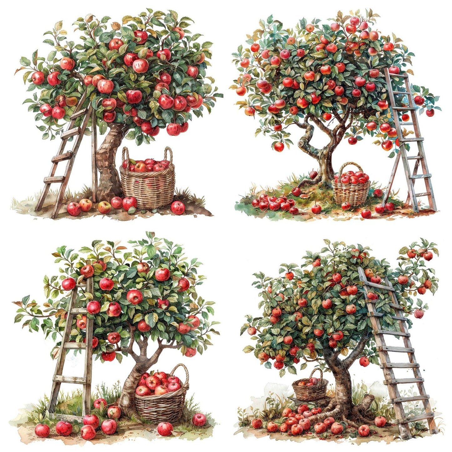 Apple Tree Harvest Picking Clipart Set (DDD004613)