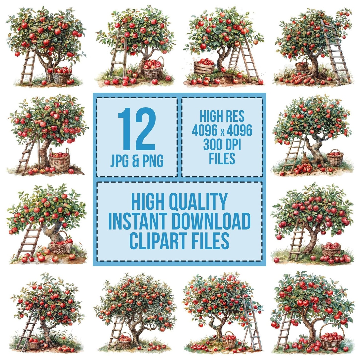 Apple Tree Harvest Picking Clipart Set (DDD004613)