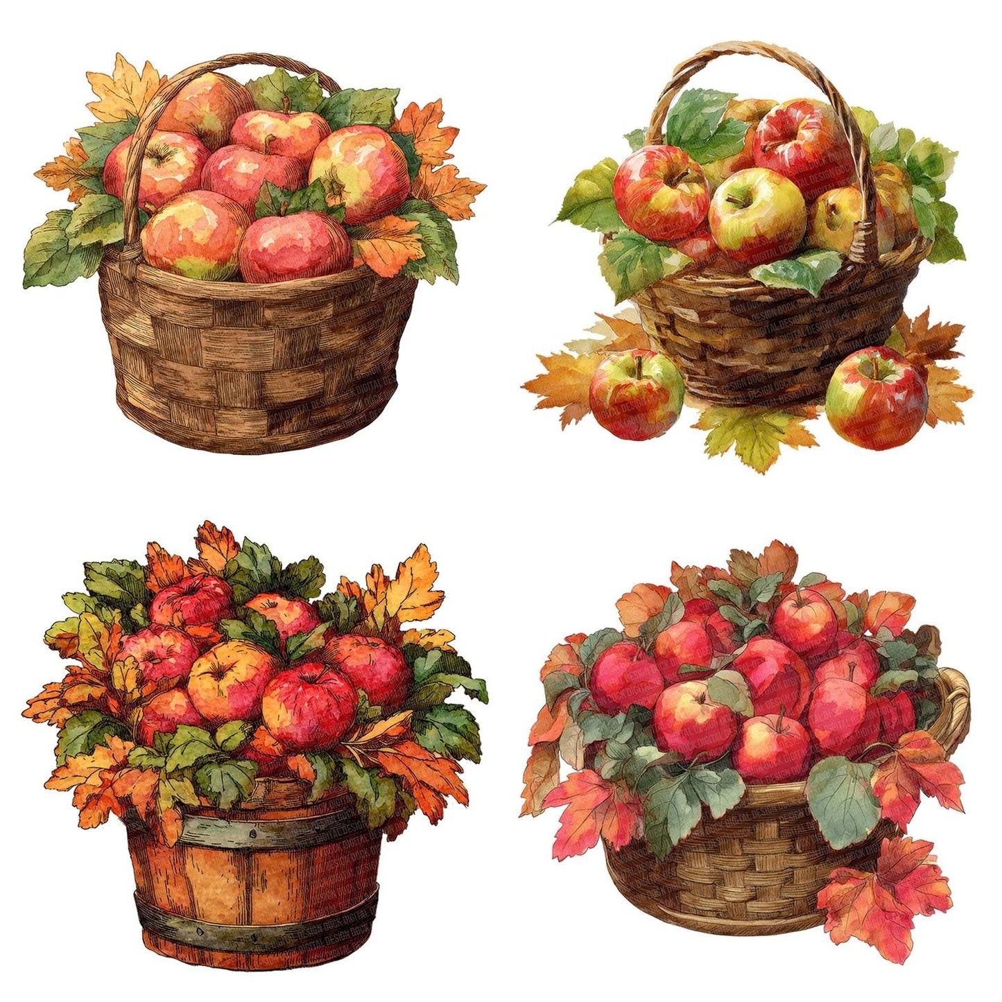 Autumn Apple Basket Clipart Set (DDD004626)