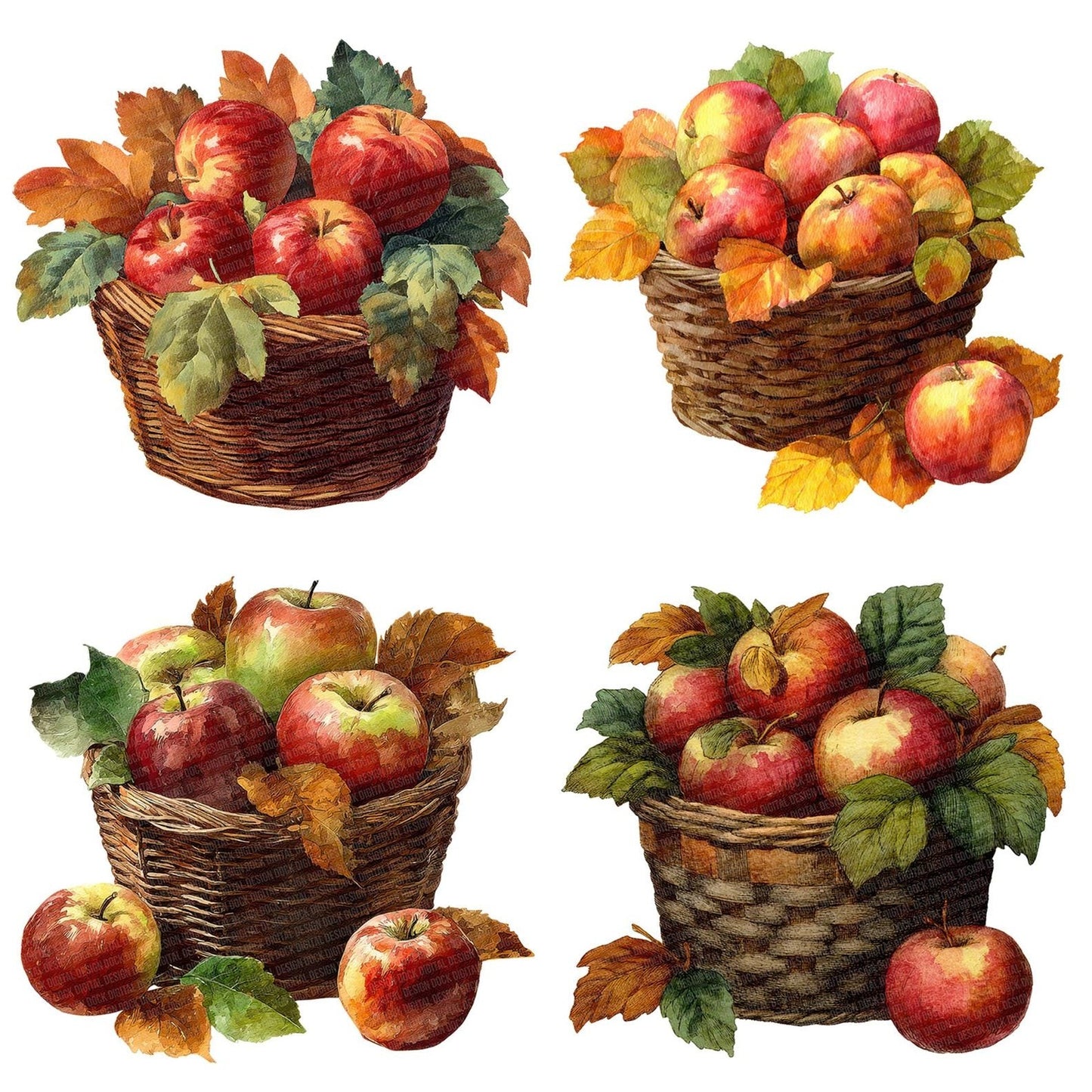 Autumn Apple Basket Clipart Set (DDD004626)