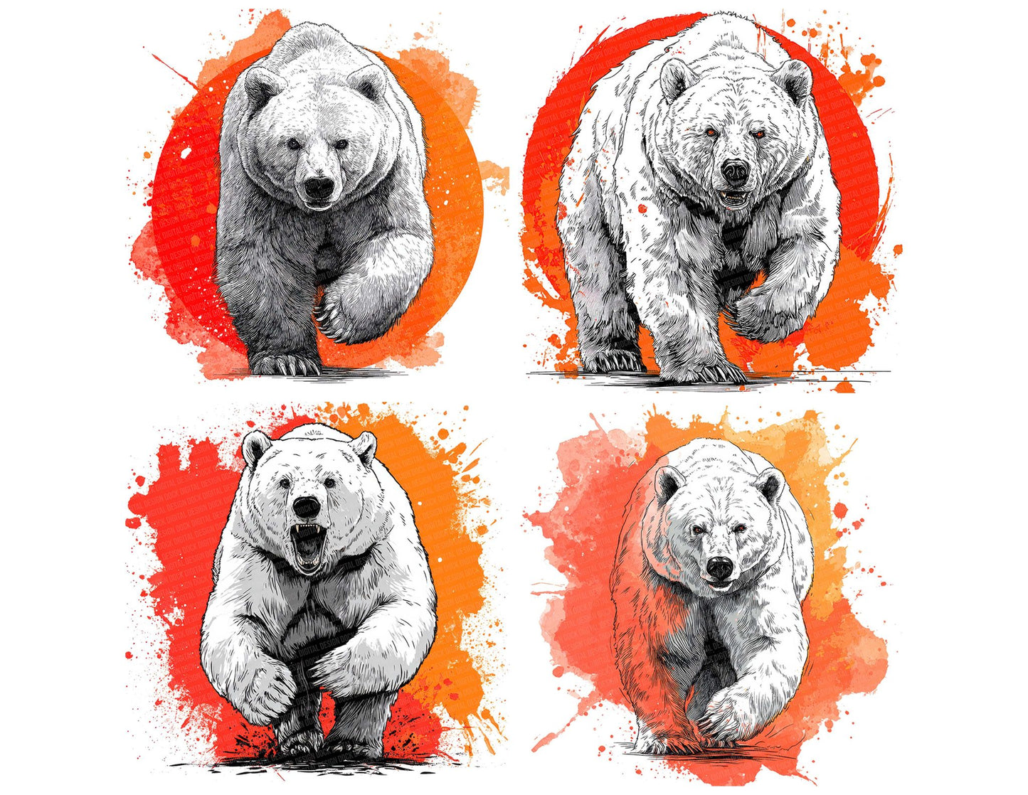 Bear Neon Colour Splash Clipart Set (DDD004662)