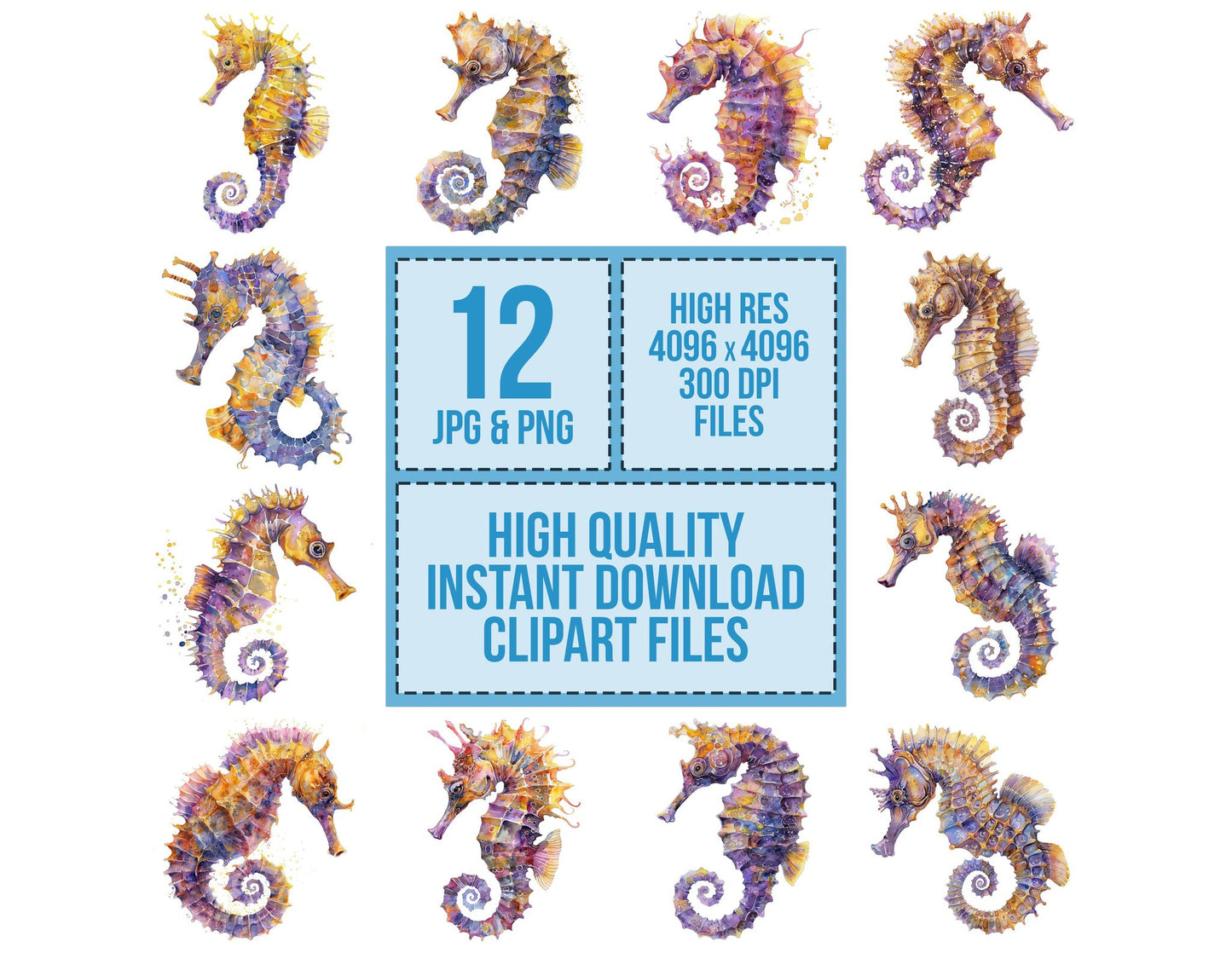 Beautiful Seahorse Clipart Set (DDD004664)