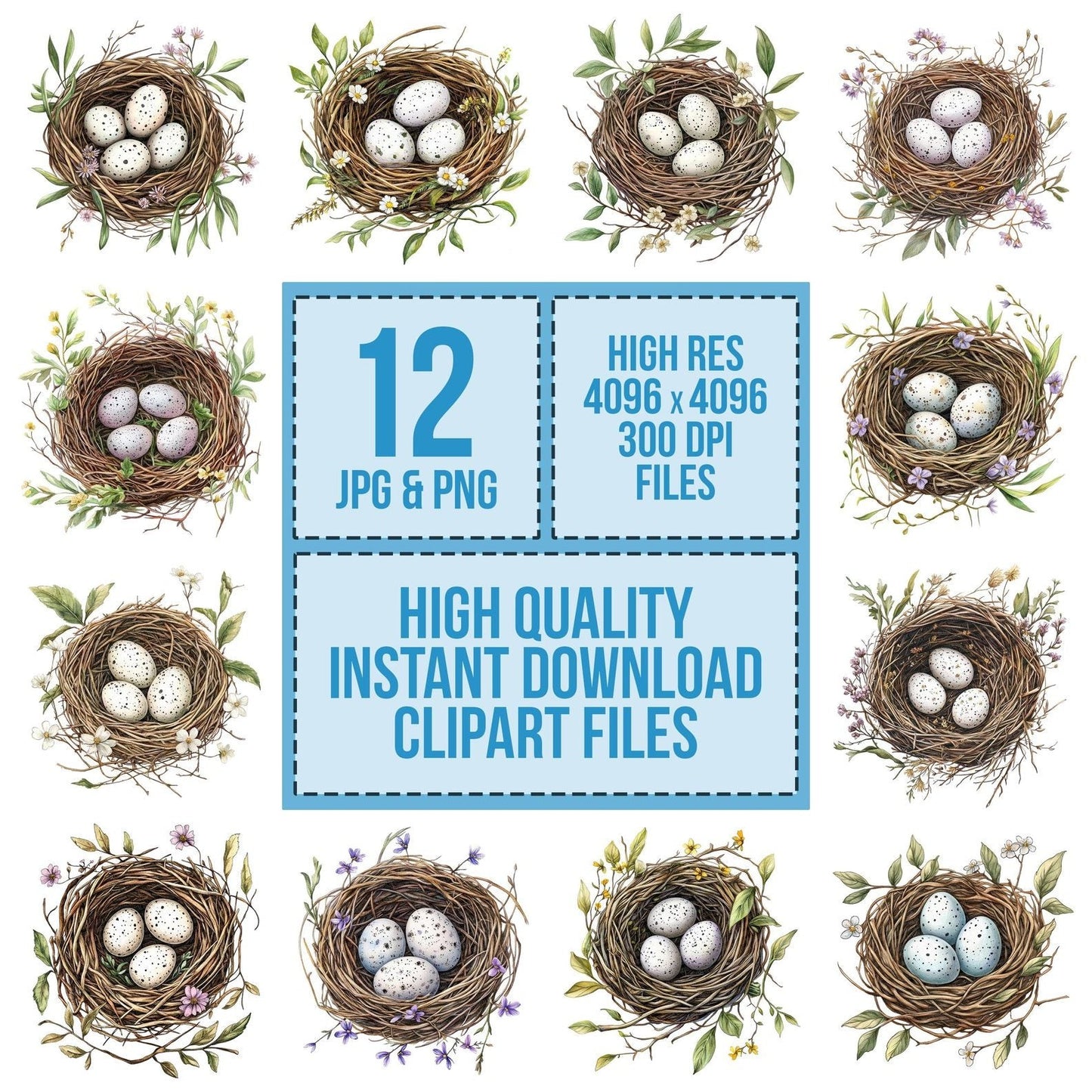 Bird Nest with Wildflowers Clipart Set (DDD004678)