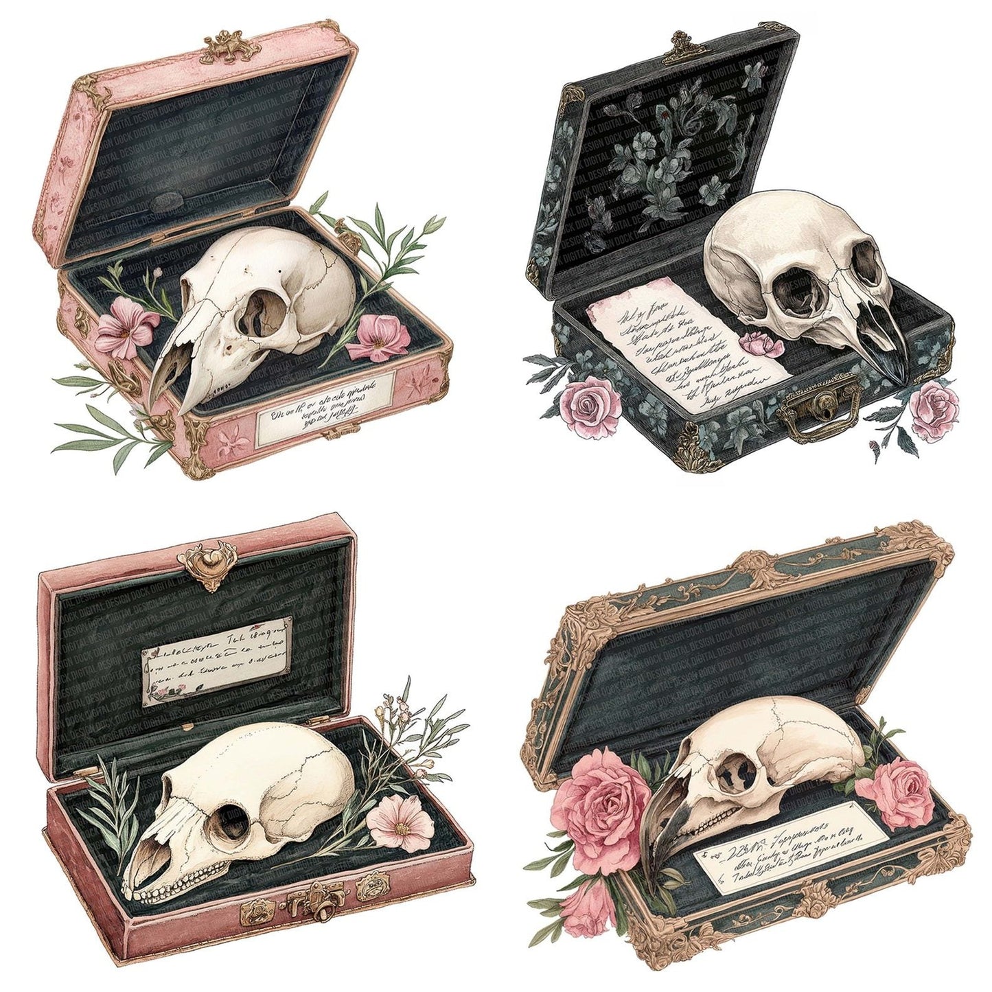 Bird Skull with Label in Case Clipart Set (DDD004679)