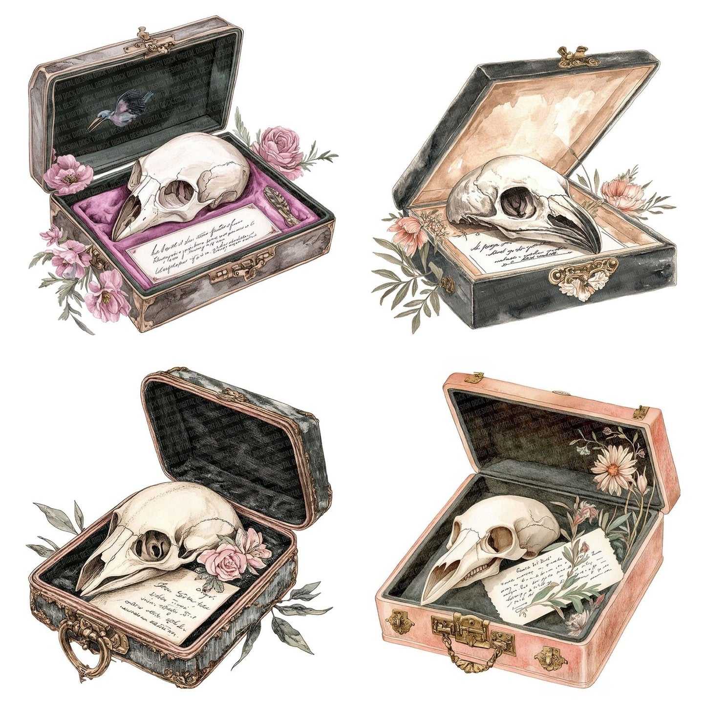 Bird Skull with Label in Case Clipart Set (DDD004679)