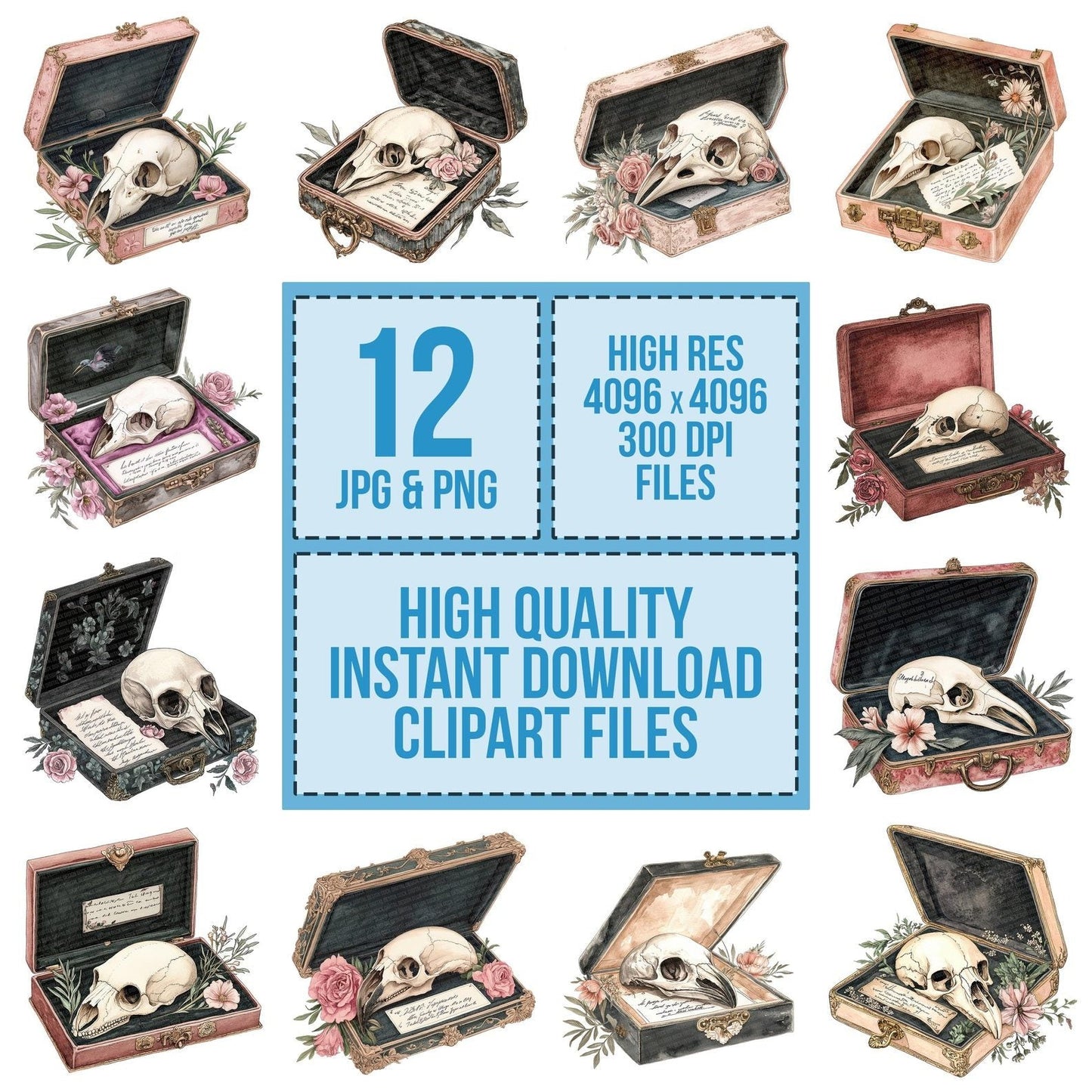 Bird Skull with Label in Case Clipart Set (DDD004679)