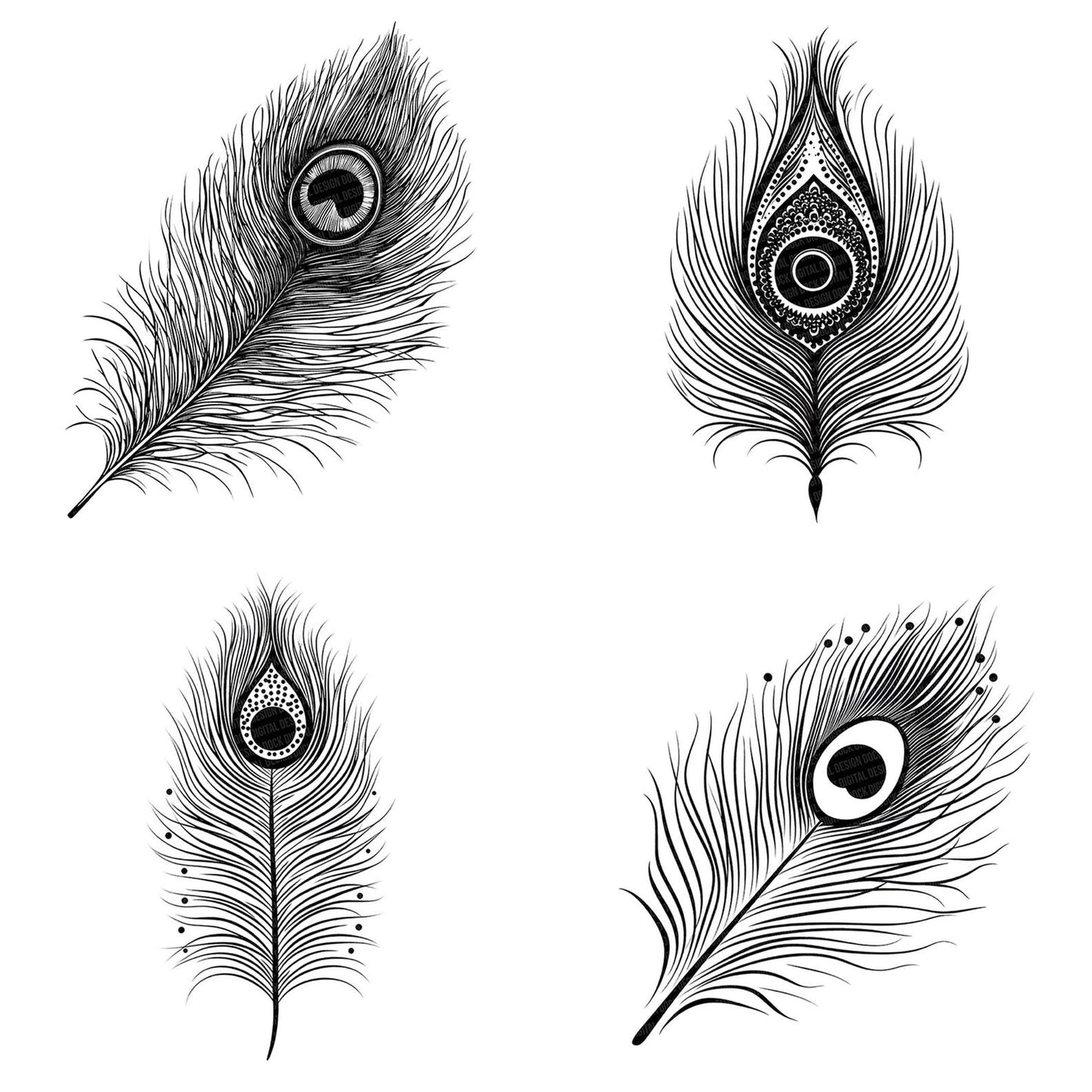 Black White Feather Icon Clipart Set (DDD004701)