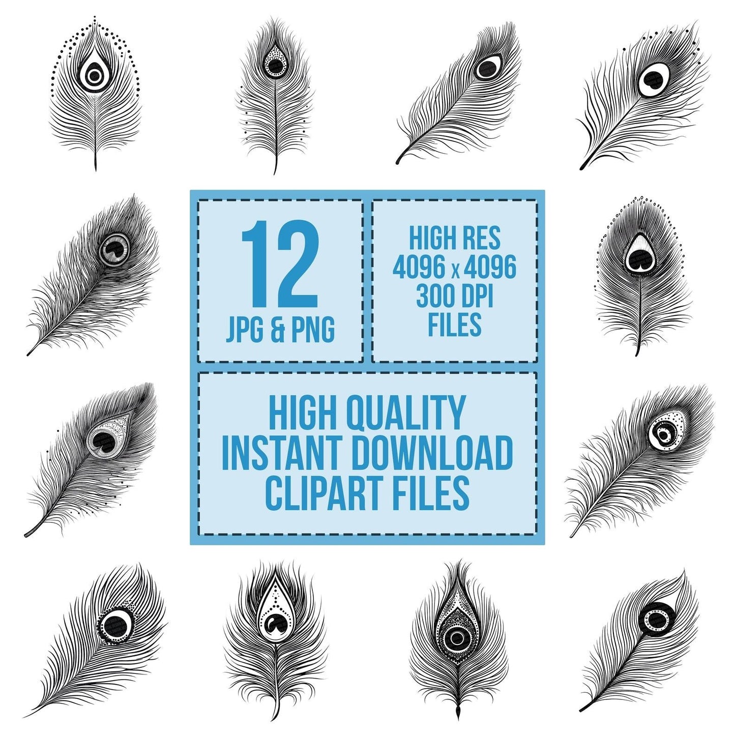 Black White Feather Icon Clipart Set (DDD004701)