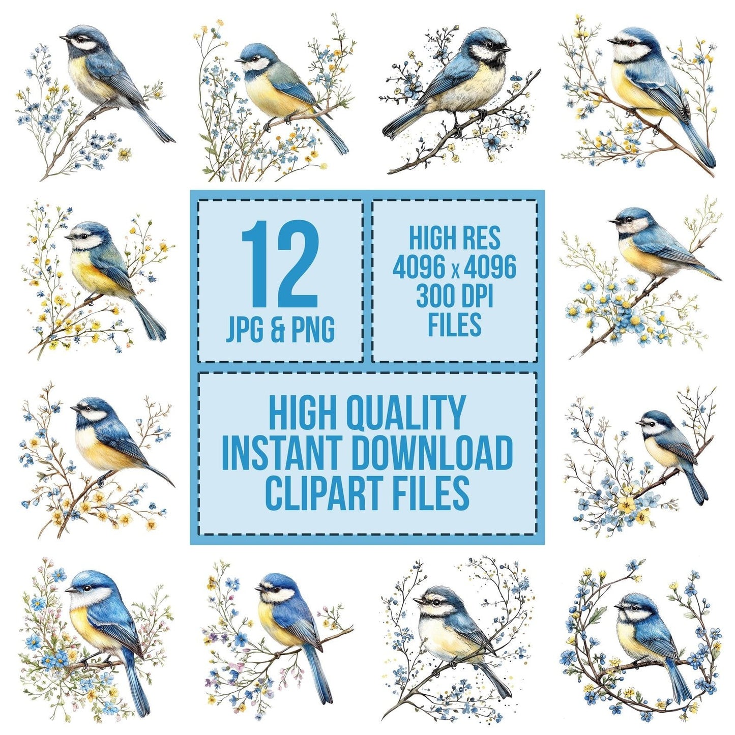 Blue Tit on a Branch Clipart Set (DDD004711)