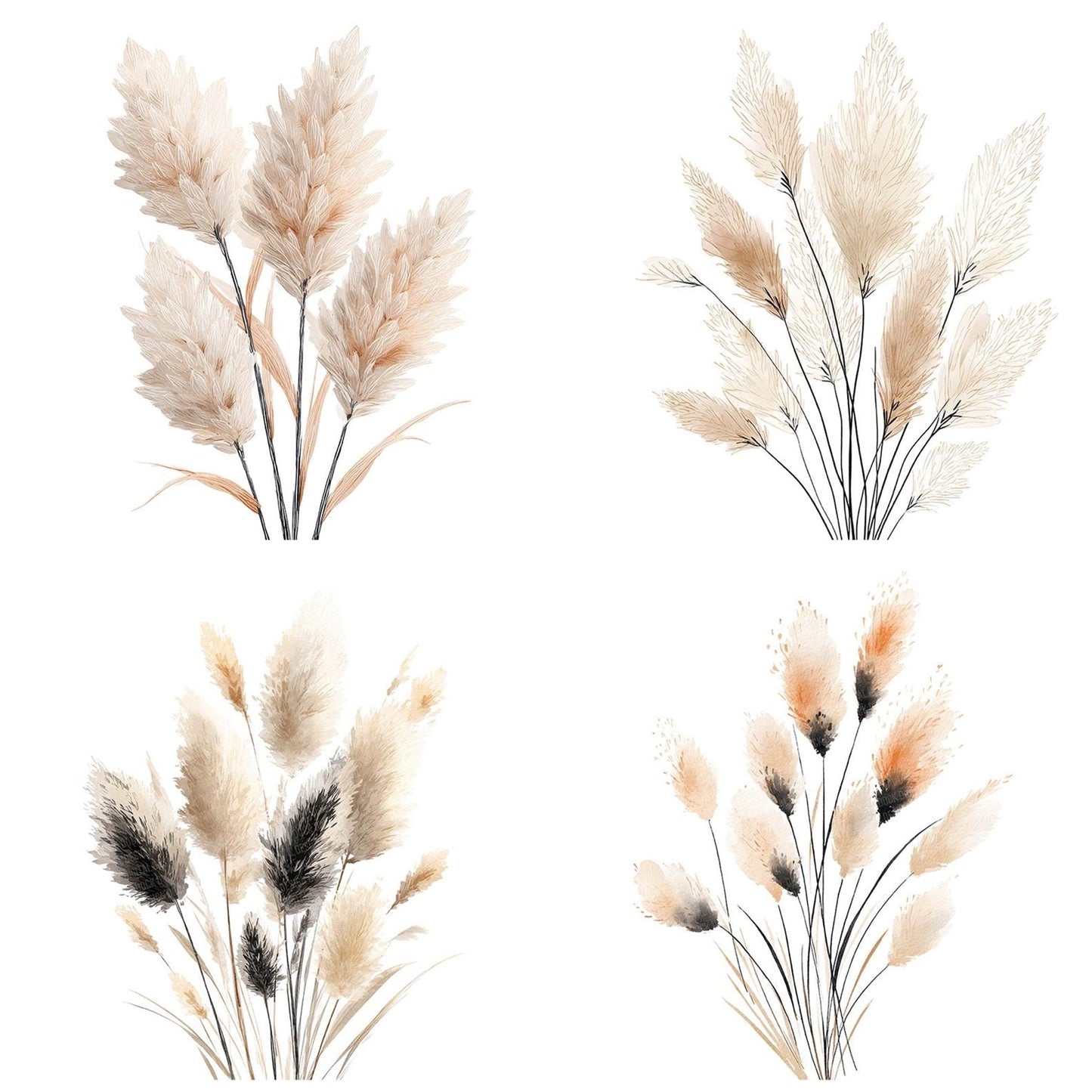 Boho Wheat Pampas Stalks Clipart Set (DDD004741)