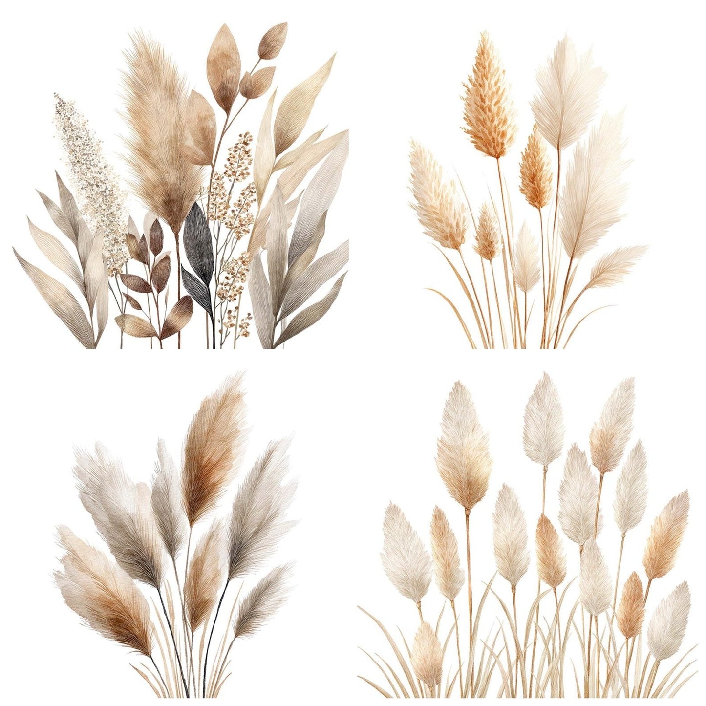 Boho Wheat Pampas Stalks Clipart Set (DDD004741)