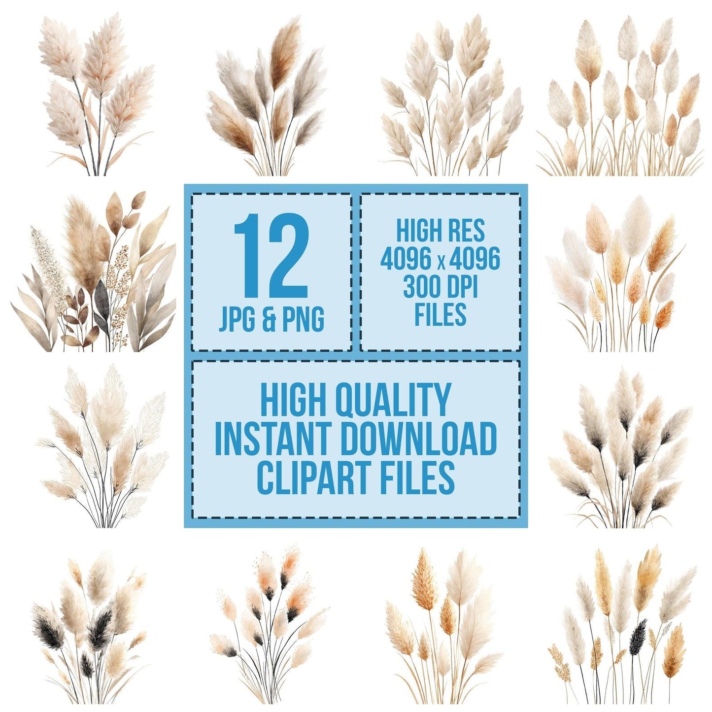 Boho Wheat Pampas Stalks Clipart Set (DDD004741)