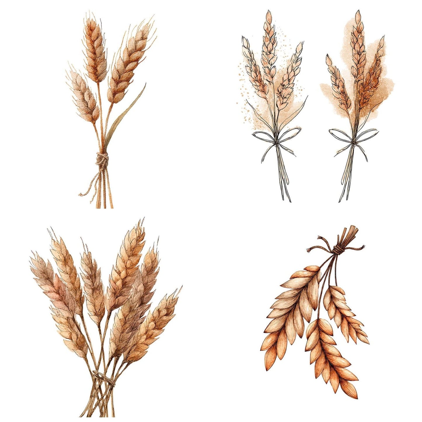 Boho Wheat Stalks Tied Clipart Set (DDD004744)
