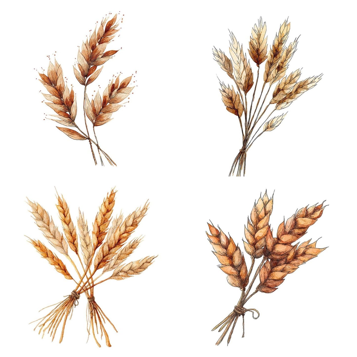 Boho Wheat Stalks Tied Clipart Set (DDD004744)