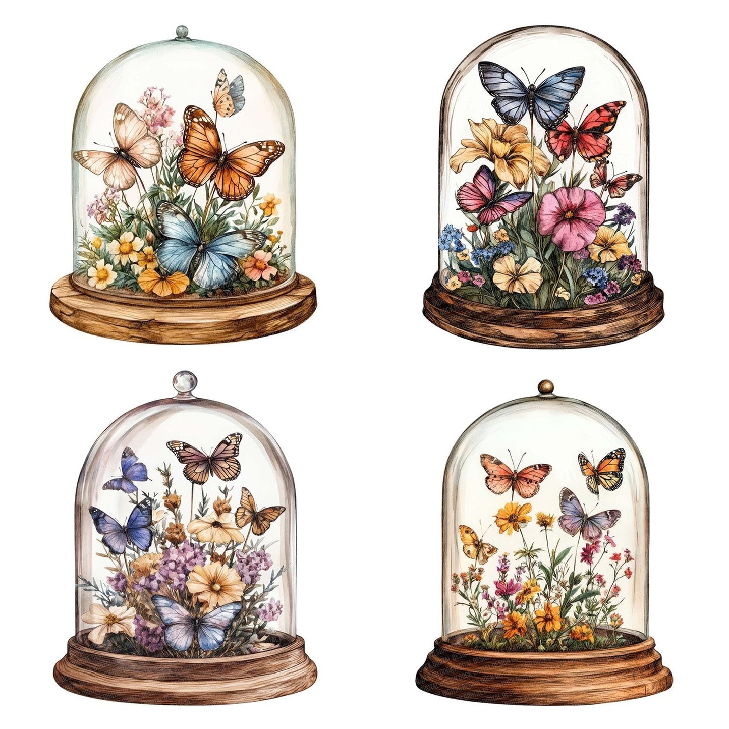 Butterflies in Glass Dome Clipart Set (DDD004782)