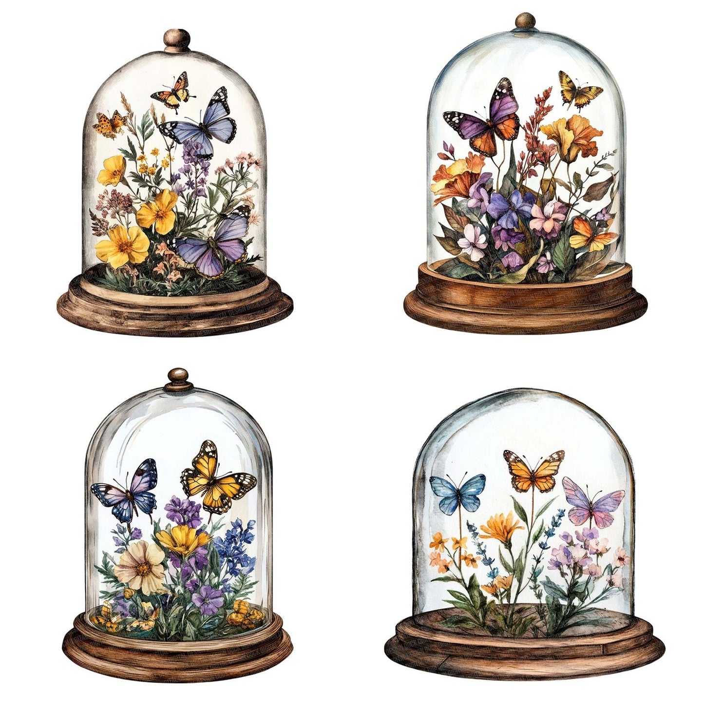 Butterflies in Glass Dome Clipart Set (DDD004782)