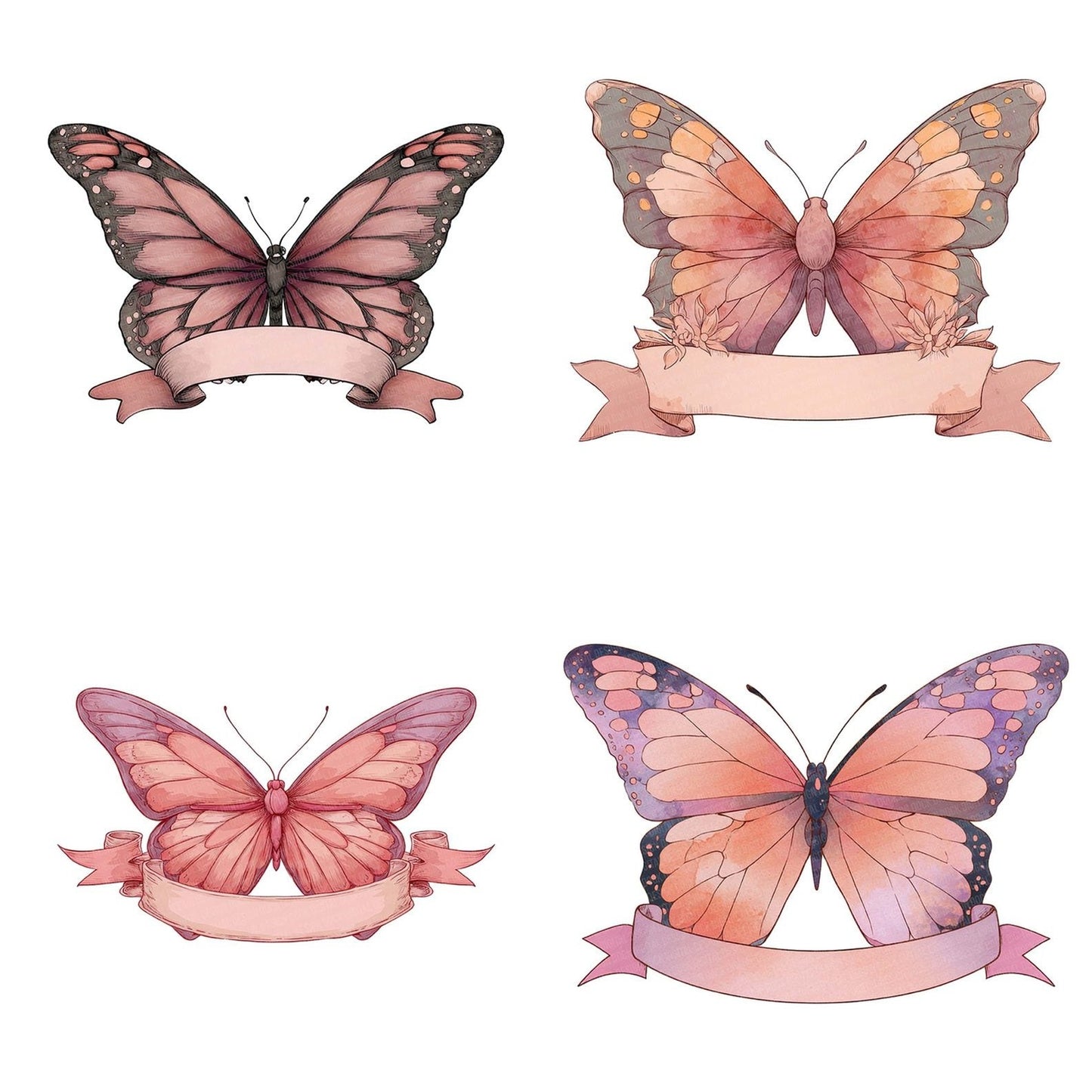 Butterfly Lower Scroll Banner Clipart Set (DDD004786)