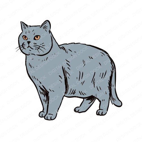 Single British Shorthair Watercolour Cat clipart design shown full size