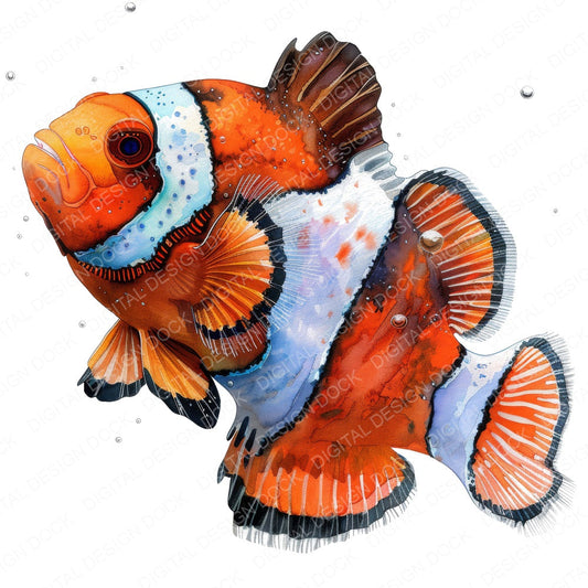 Colourful Clownfish Clipart Set (DDD004994)