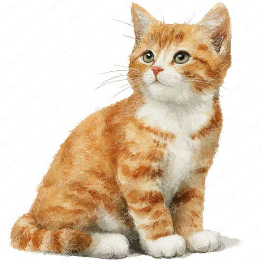 Cute Little Kitten Clipart Set (DDD008234)