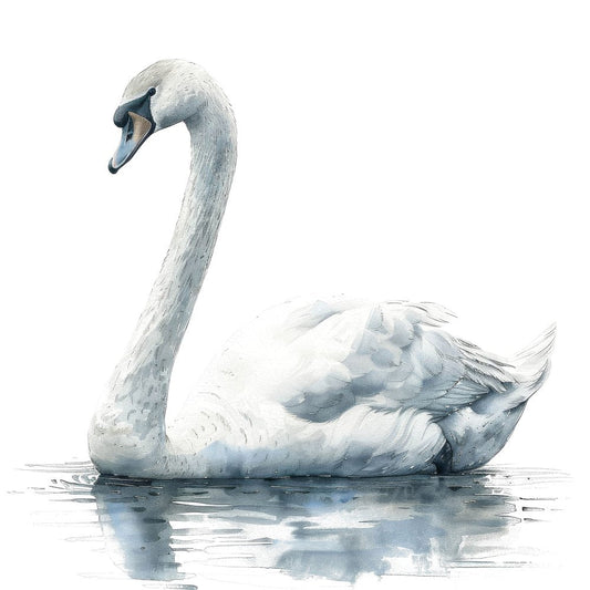 Graceful Swan Clipart Set (DDD005743)