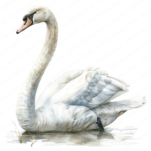 Graceful Swan fussy cut sheet in US Letter format showing all 12 designs on one printable page