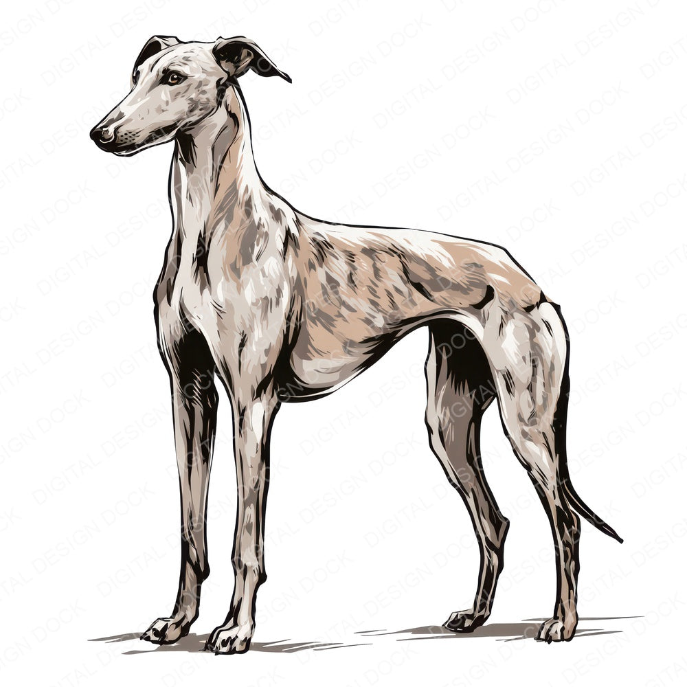 Single Greyhound Watercolour Dog clipart design shown full size