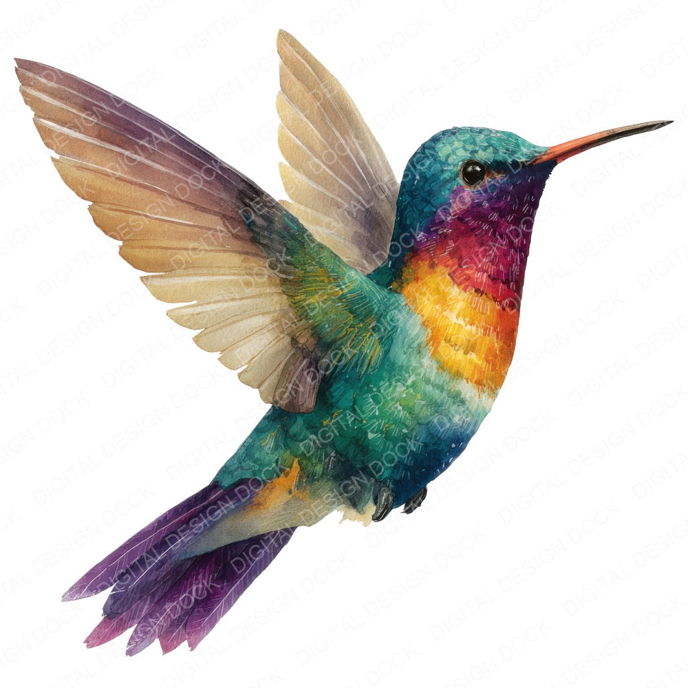 Hummingbird Illustration fussy cut sheet in A4 format showing all 12 designs on one printable page