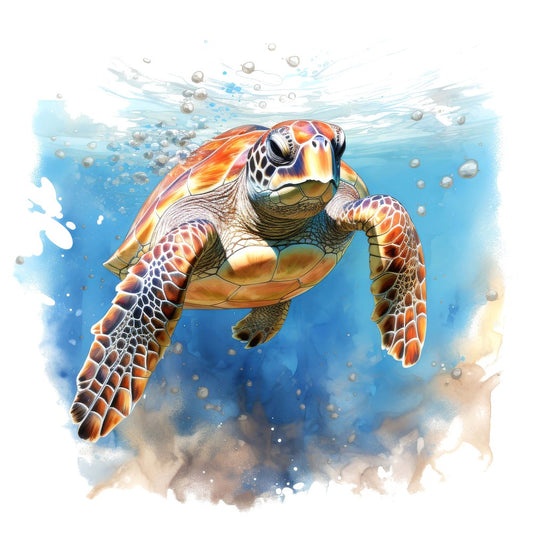 Majestic Sea Turtles Clipart Set (DDD006009)