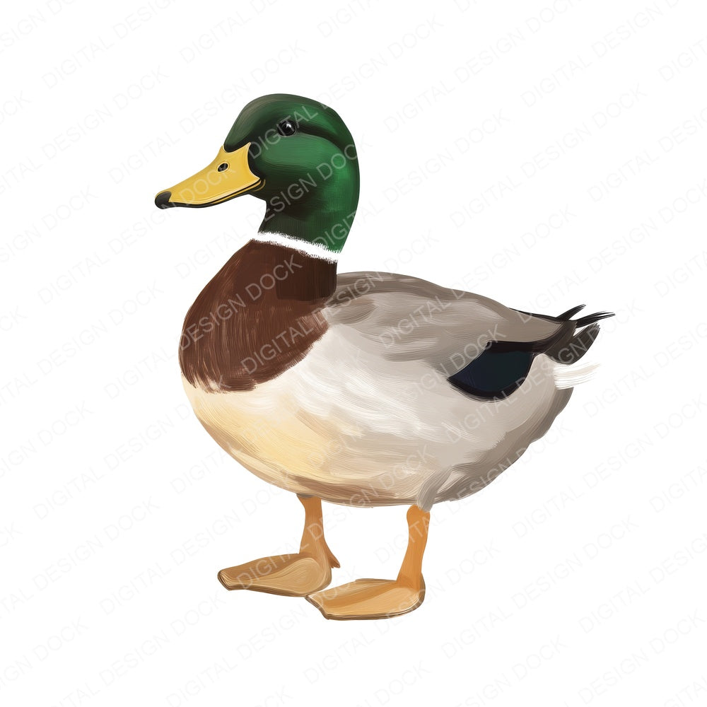 Oil Painted Mallard Duck fussy cut sheet in US Letter format showing all 12 designs on one printable page