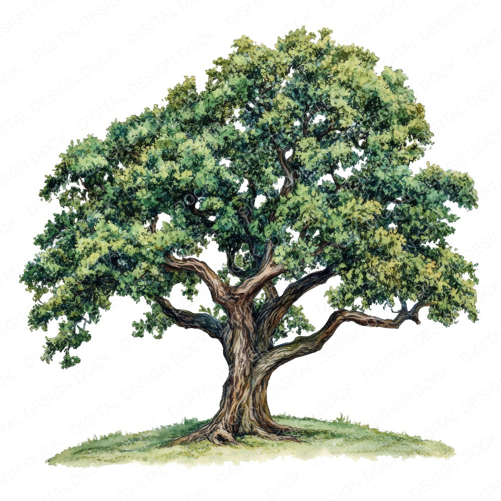 Old Oak Tree Vintage Illustration fussy cut sheet in A4 format showing all 12 designs on one printable page