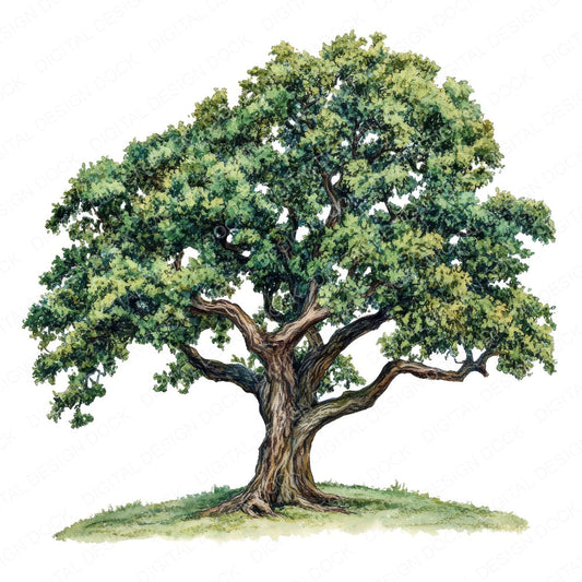 Old Oak Tree Vintage Illustration fussy cut sheet in A4 format showing all 12 designs on one printable page