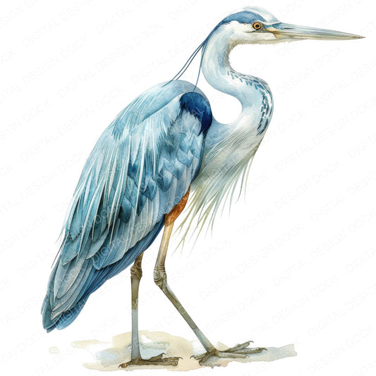 Proud Heron Clipart Set (DDD006363)