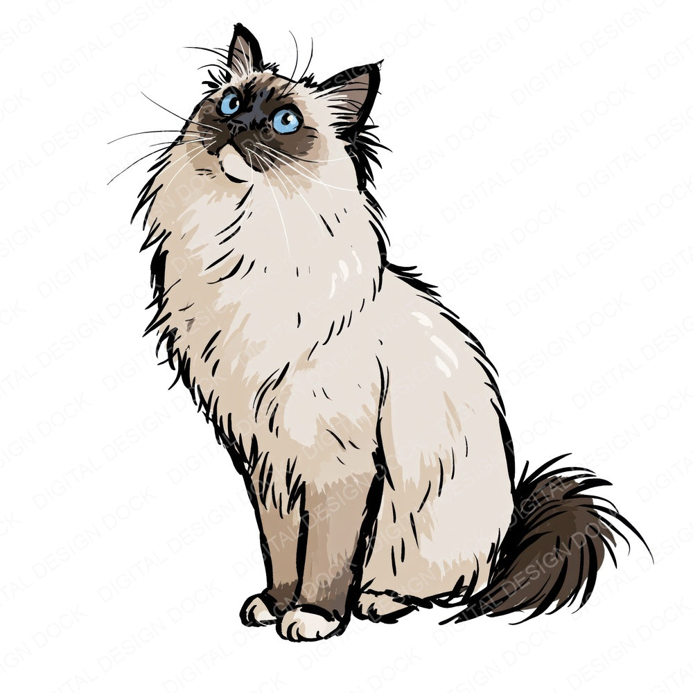 Single Ragdoll Watercolour Cat clipart design shown full size