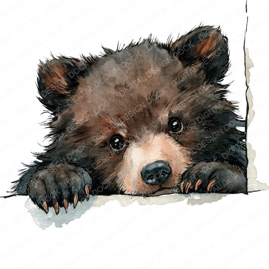Realistic Baby Bear Cub Clipart Set (DDD013842)