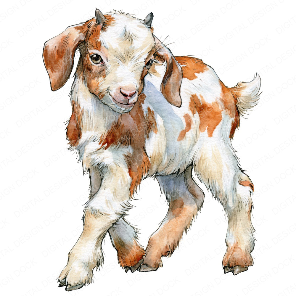 Realistic Baby Goat Kid Clipart Set (DDD013729)