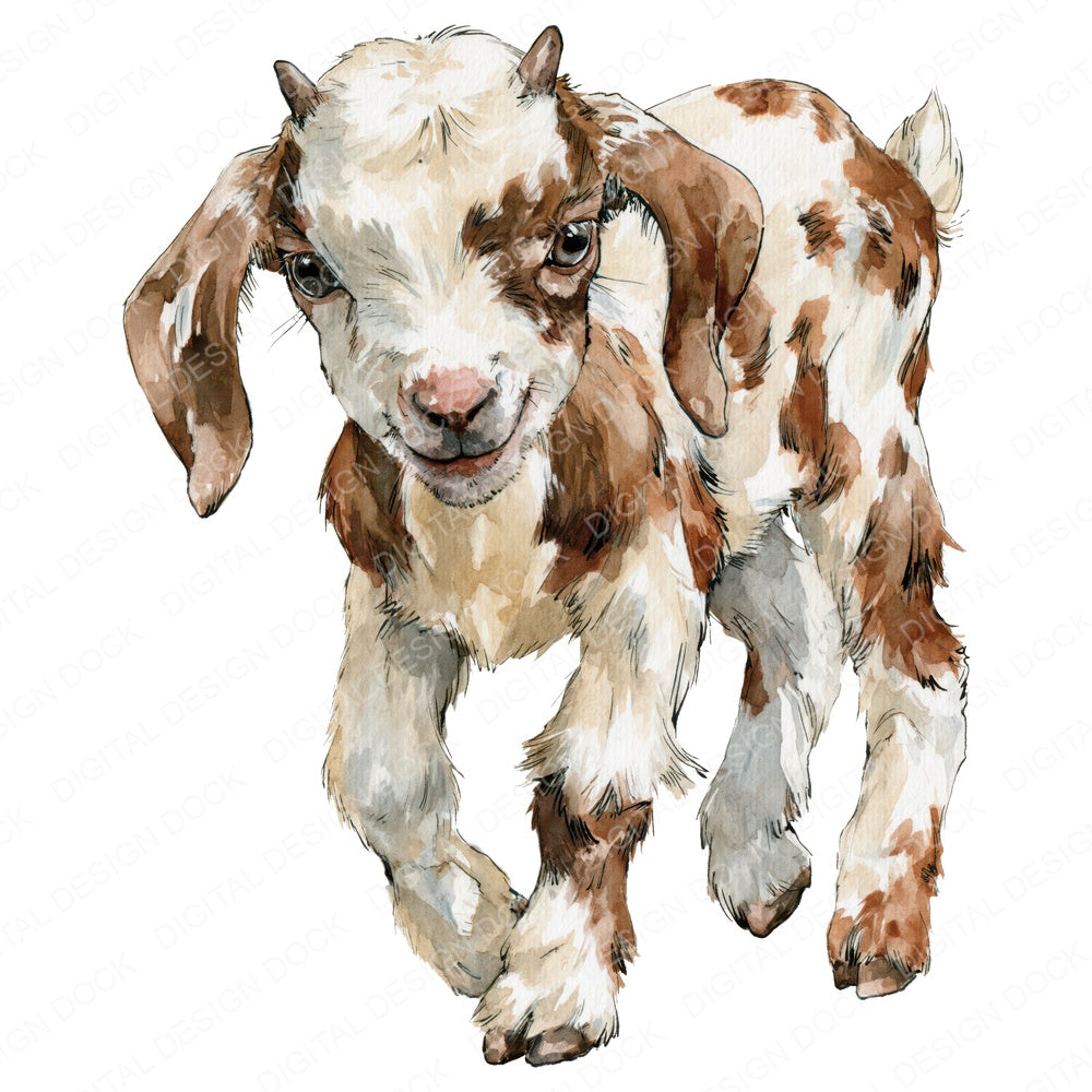 Realistic Baby Goat Kid Clipart Set (DDD013729)