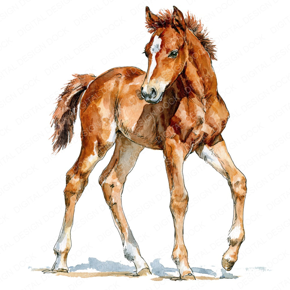 Realistic Baby Horse Foal Fussy Cut Sheets (DDD013750)