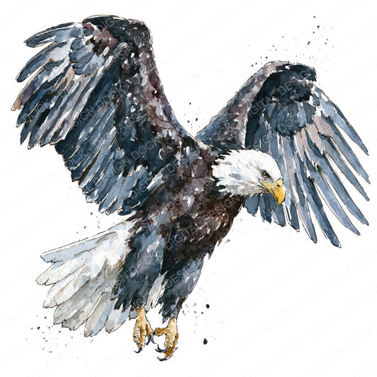 Realistic Bald Eagle Clipart Set (DDD012660)