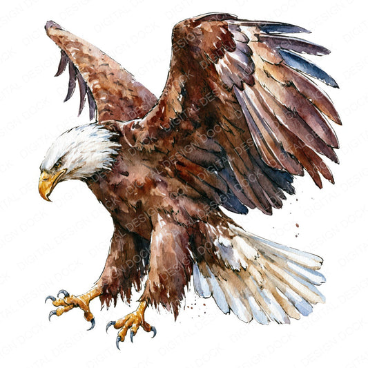 Realistic Bald Eagle Clipart Set (DDD012660)