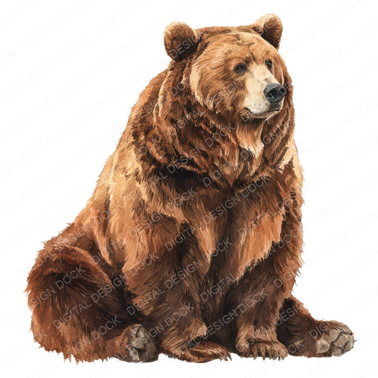Realistic Bear Illustration Clipart Set (DDD008848)